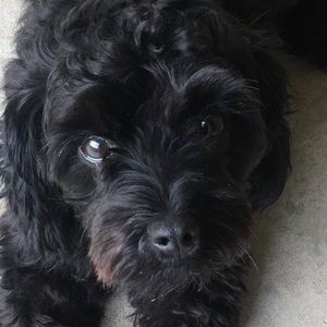 Meet your Posher, Marisela